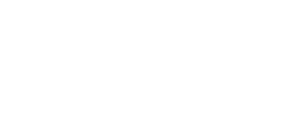 Patient Journey - Dental Excellence logo